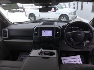 2019年福特F-150 XLT